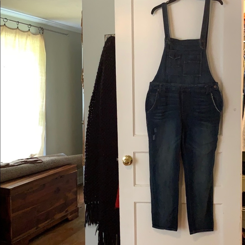 Free People Denim Overalls